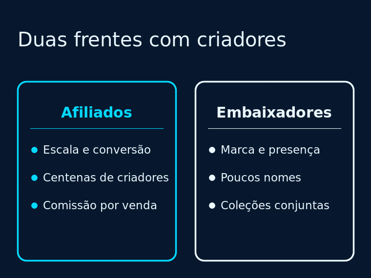 Diagrama com as duas frentes da operação de criadores da Ruggable: afiliados e embaixadores